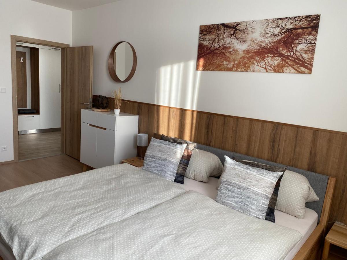 Apartment Petra Klinovec Loučná pod Klínovcem Buitenkant foto